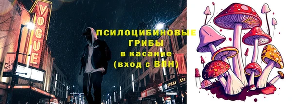 первитин Карпинск
