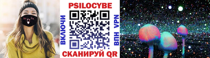 Купить закладки  Ирбит  Псилоцибиновые грибы GOLDEN TEACHER 